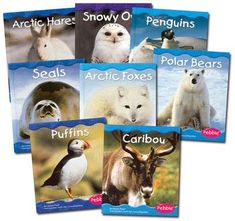 four books about arctic animals are shown in this set, including polar foxes, puffins, and snow penguins