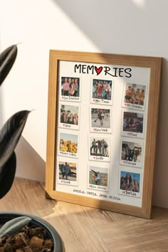 a wooden frame with pictures on it next to a potted plant