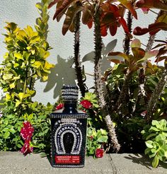 a bottle sitting on the ground in front of some plants