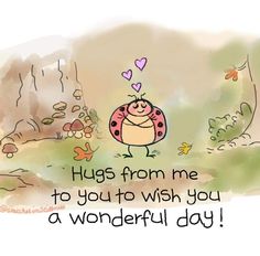 a drawing of a ladybug saying hugs from me to you to wish you a wonderful day