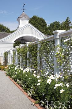 white flowers line the side of a house