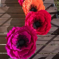 three large pink and orange flowers sitting on top of a wooden table next to each other