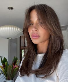 Cute Hair Cuts For Dark Brown Hair, Dark Brown Hair Layers Medium, Subtle Curtain Bangs Medium Hair, Haïr Cut Medium Hair Layers, Haïr Style Straight Hair, Haircut Ideas Medium Hair, Below Shoulder Haircut, Layer Medium Haircut