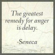 a quote that reads, the greatest remedy for anger is delay - seneca