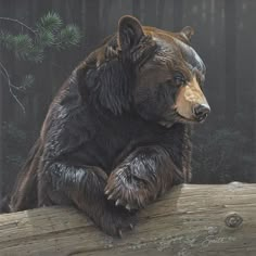 a large brown bear sitting on top of a wooden log in front of a forest