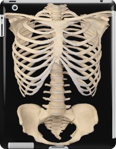 the skeletal skeleton of a human is shown in this image ipad case / skinplate