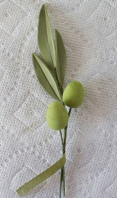 an olive branch with green leaves on a white surface