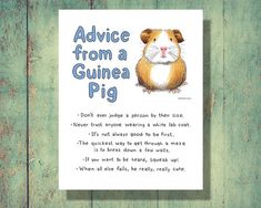 a card with an image of a guinea pig on it's front and the words advice from a guinea pig written below