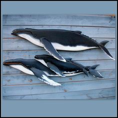 three fake humpbacks are laying on a wooden floor next to each other