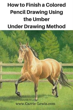 how to finish a colored pencil drawing using the number under drawing method