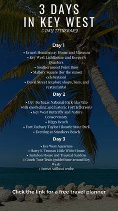 a flyer for the 3 days in key west with palm trees and ocean view behind it