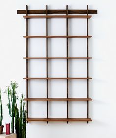 a wooden shelf with books on it next to a potted cacti and succulents