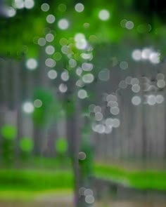 blurry photograph of trees and fence with green grass in the foreground, blurred by raindrops