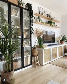 a living room filled with lots of plants next to a wall mounted flat screen tv