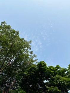 an airplane flying in the sky over some trees