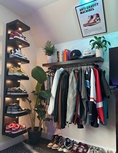 a shelf filled with lots of shoes next to a potted plant