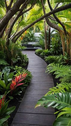 a wooden walkway surrounded by tropical plants and trees