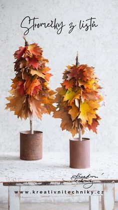 two potted plants with autumn leaves on them