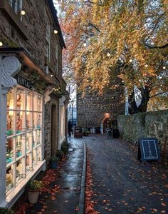 an alley way in the fall with autumn leaves on the ground and lights hanging above it