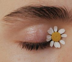 a close up of a person's eye with a flower in the middle of it