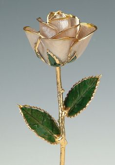 a gold rose with green leaves on a white background