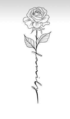 a single rose with the word love written in cursive writing, on a white background