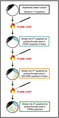 a diagram showing the steps in how to use flame loop