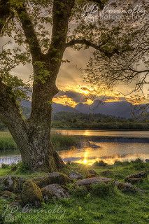 the sun is setting over a lake and some trees