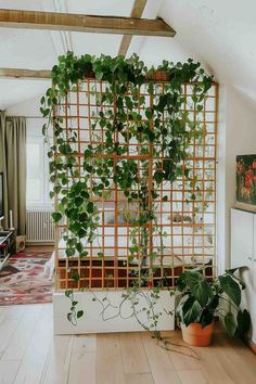 a living room with plants growing on the wall and wood flooring in front of it