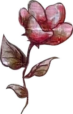 a drawing of a pink rose on a white background