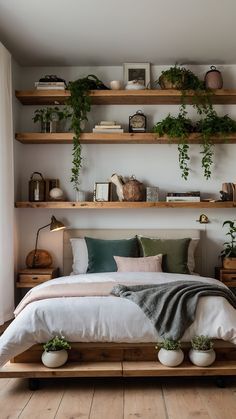 a bed with lots of plants on the shelves above it