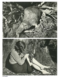 two pictures of a woman sitting on the ground next to a beaver