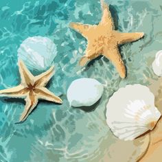 three starfishs and two seashells on the sand in the ocean water