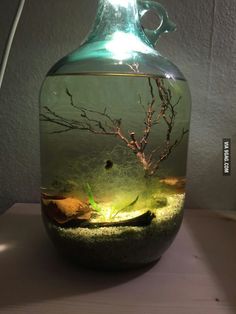 a fish tank filled with water sitting on top of a table