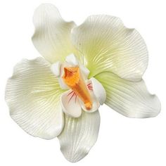 Decorate a cake with these white, detailed orchid decorations. Gum paste is food safe and intended as non-edible decoration only. Contains wires. Due to the nature of this product, some breakage may occur and the product has been priced accordingly.Dimensions:Orchid: 3.15 x 2.85 x 1.2 inches Decorate A Cake, Petal Dust, Edible Cake Decorations, Scrapbook Printing, Decorating Cakes, Flower Icons, Gum Paste Flowers, Nothing But Flowers, Wedding Cake Decorations