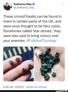 someone is holding up some tiny stars in their hand and the caption reads, these crinoid fossils can be found in rivers