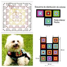 a white dog sitting on top of a green field next to two pictures with squares