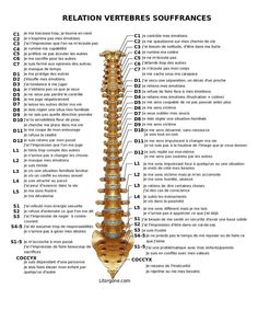 Chi Nei Tsang, Insect Repellent Plants, Polarity Therapy, Physiotherapy Clinic, Nursing Study, Chinese Medicine, If You