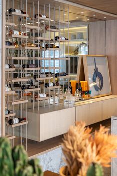 a room with shelves filled with wine bottles