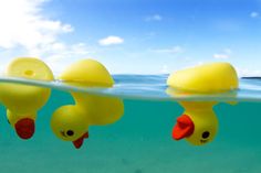 three rubber ducks floating on top of the water in front of blue sky and clouds