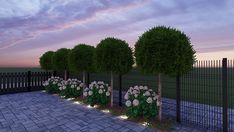 a row of trees next to a fence with flowers growing on the top and bottom