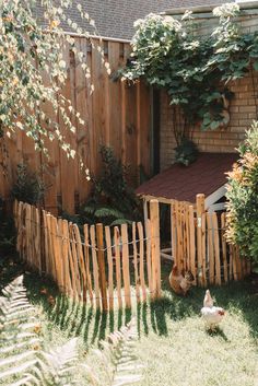 a chicken is standing in the grass next to a fence and some bushes near a house