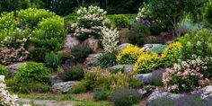 the garden is full of colorful flowers and rocks