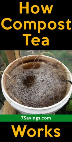 how composting tea works