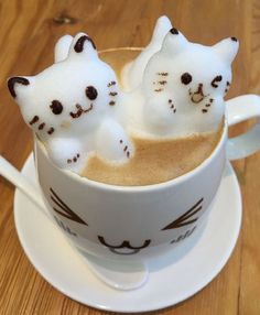 two white cats sitting in a cup of coffee