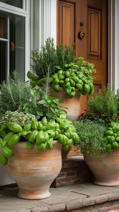 three large potted plants sitting on the front steps