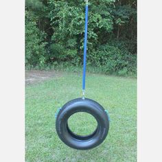 a tire swing hanging from a blue rope