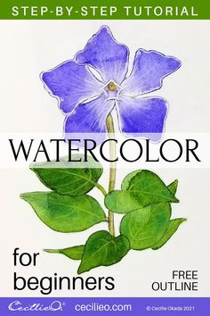 watercolor for beginners step - by - step guide to drawing flowers and leaves