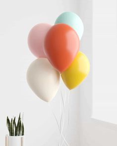 three balloons floating in the air next to a potted succulent and a plant