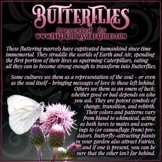 a poem written in pink and black with butterflies on it